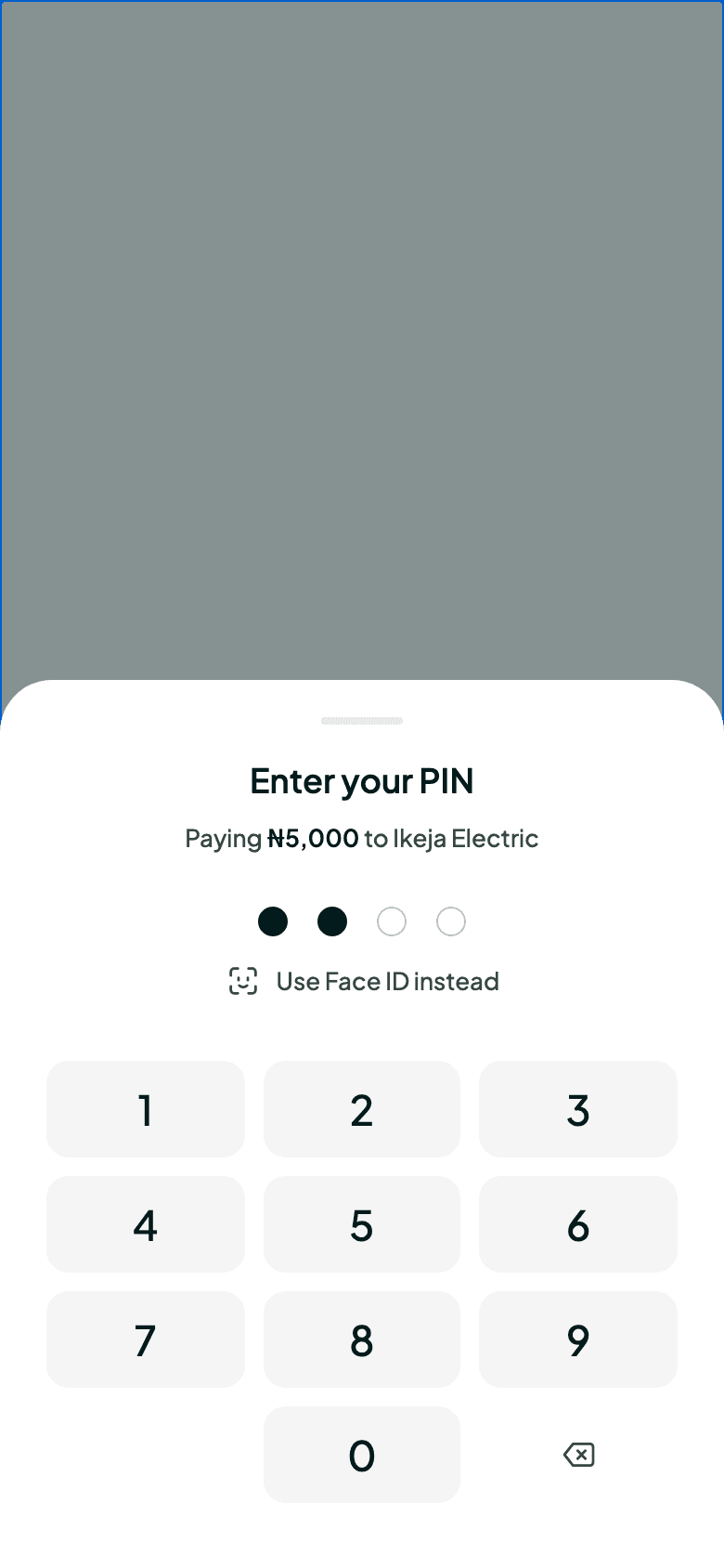 Payment PIN